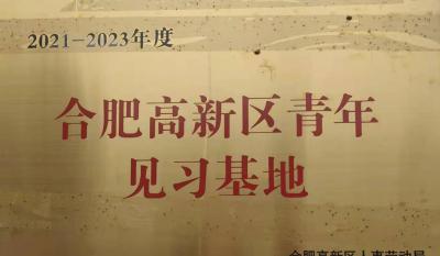 合肥mg不朽情缘获批建设合肥高新区青年见习基地
